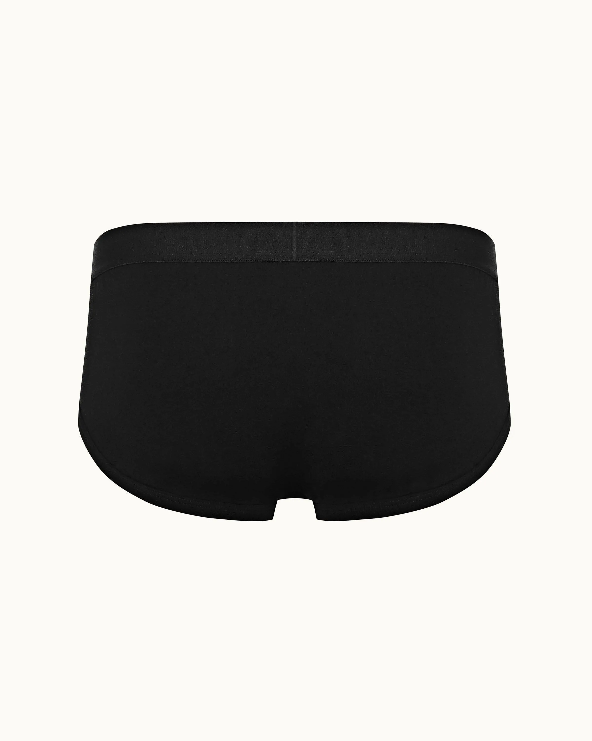 Brief