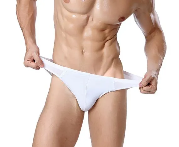 Chenke 365 Mens Seamless Silk Spandex Briefs - Breathable and Comfortable Bikini Underwear for Men - Sexy Latex-Inspired Design, Factory Wholesale Available for Gay Men