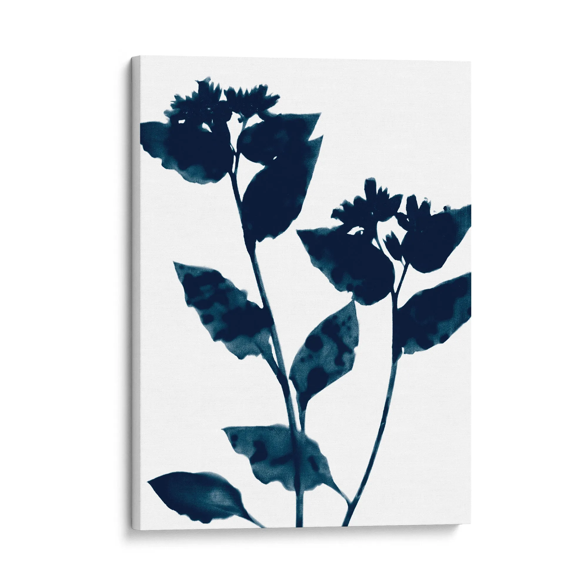 Dark Blue Flower Silhouette