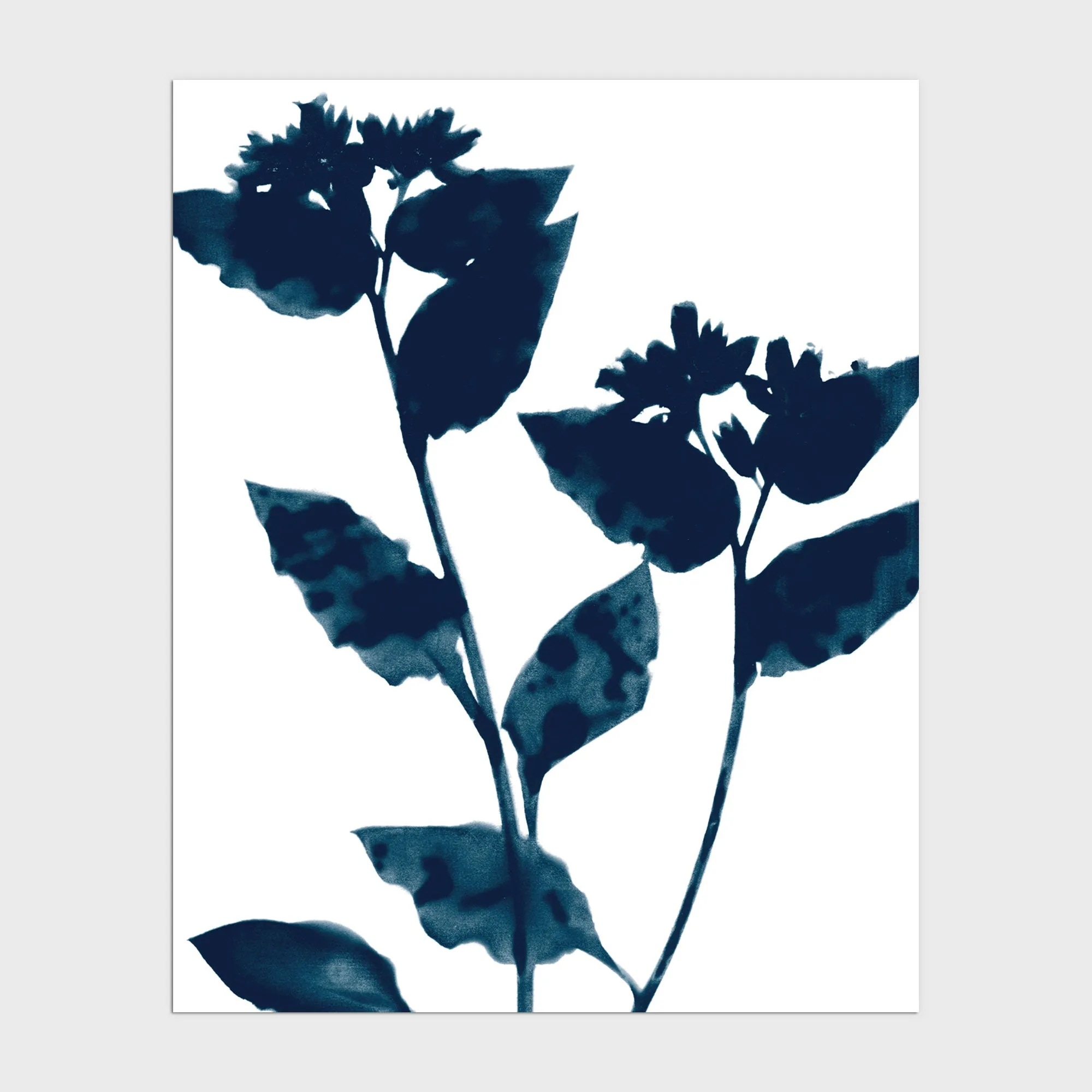 Dark Blue Flower Silhouette