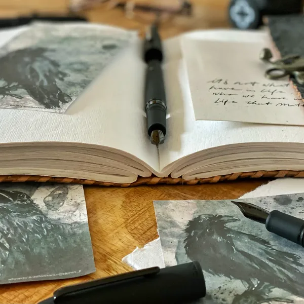 Esterbrook Raven Fountain Pen {multiple styles}